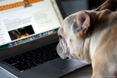 Apple Familie - Martha Stewarts Hund Sharkey